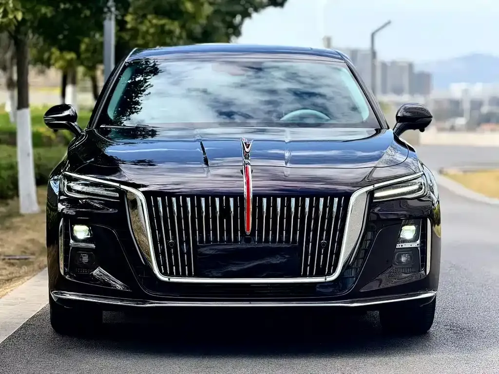 Hongqi H5 2024 из CN, фото 3