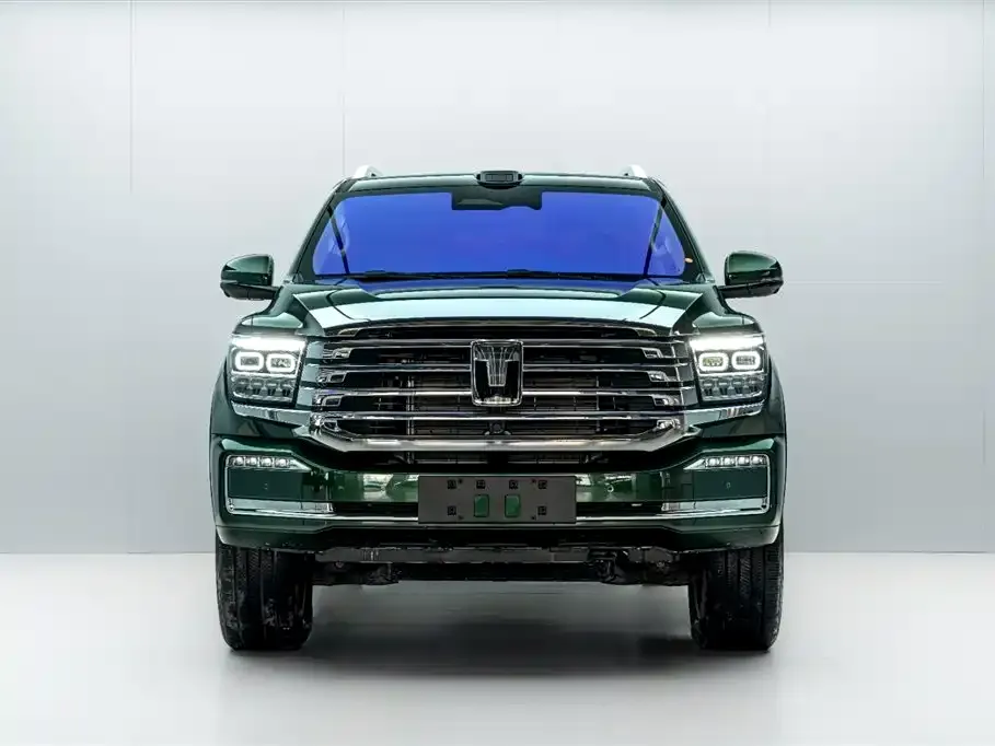 Tank 500 New Energy 2025 из CN, фото 9