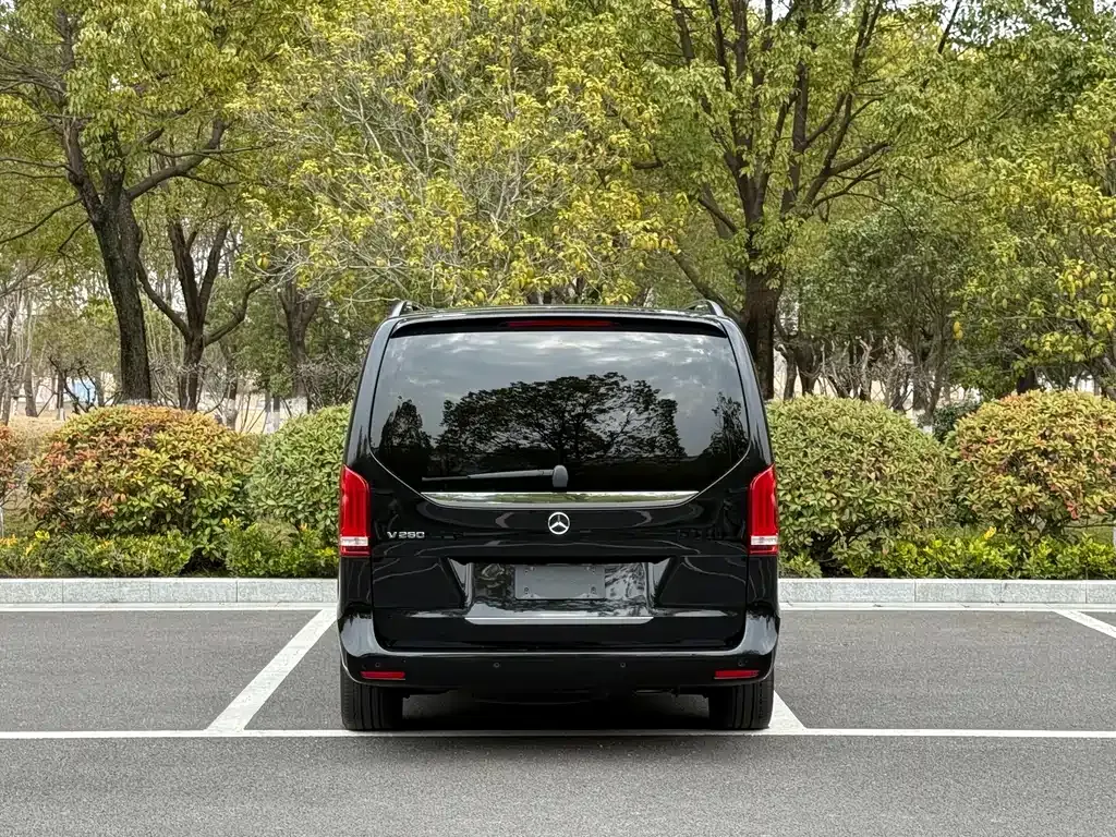 Mercedes-Benz V-Class 2022 из CN, фото 10