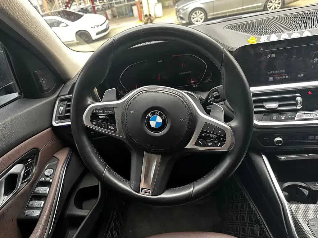 BMW 3 Series 2021 из CN, фото 5