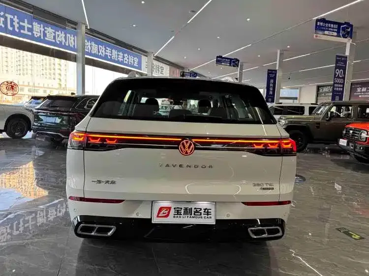 Volkswagen Tavendor 2024 из CN, фото 4
