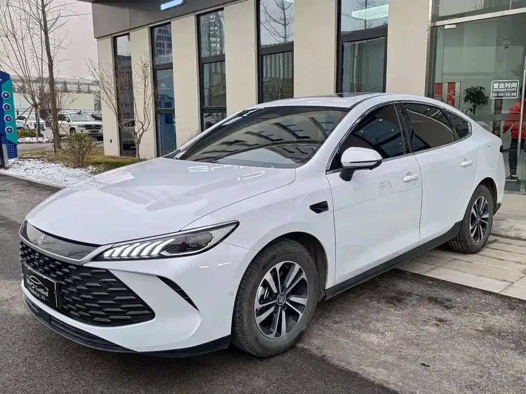 BYD Qin PLUS 2025 из CN, фото 1