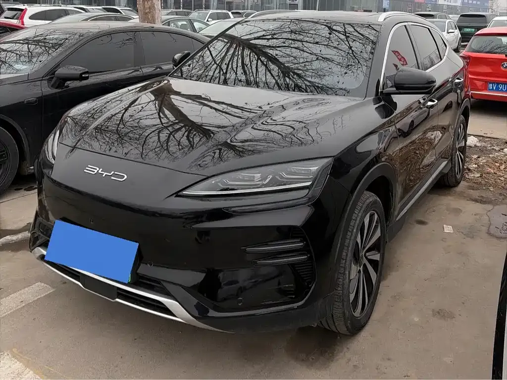 BYD PLUS New Energy 2023 из CN, фото 1