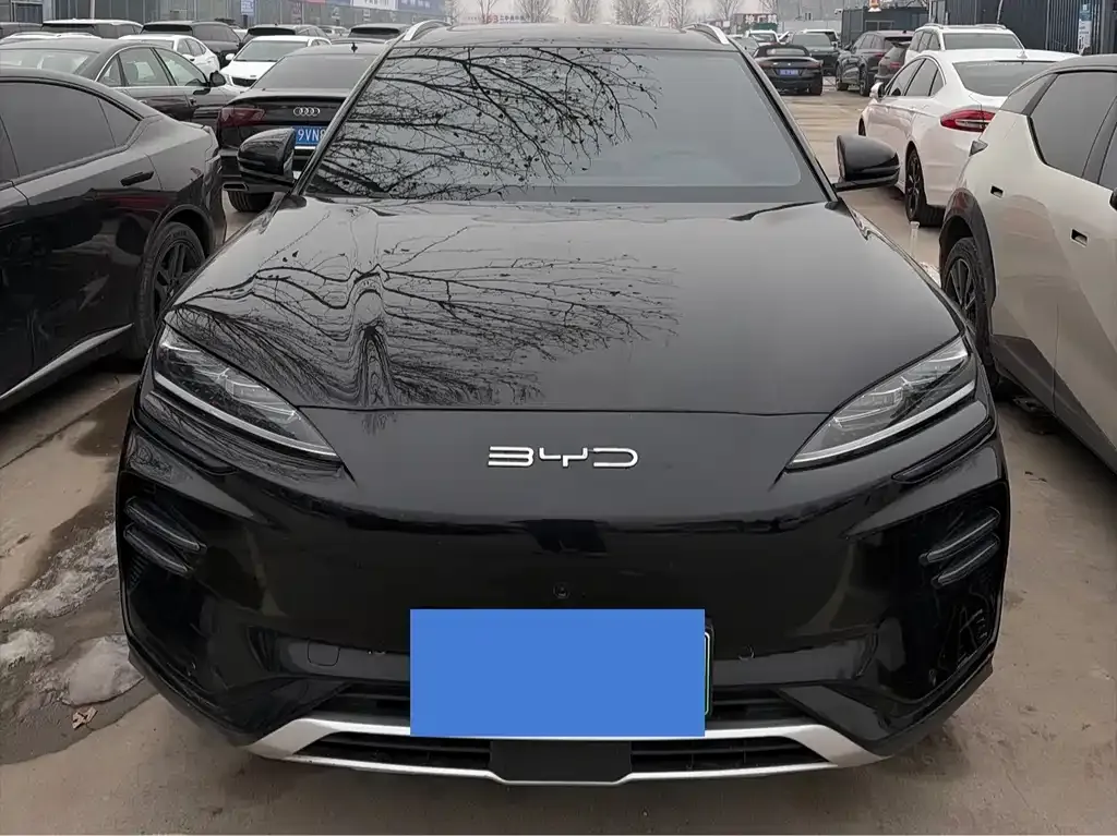 BYD PLUS New Energy 2023 из CN, фото 8