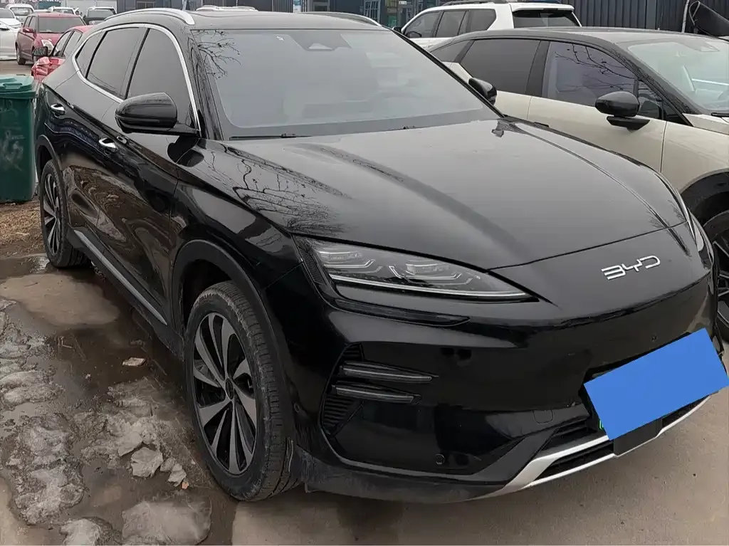 BYD PLUS New Energy 2023 из CN, фото 10