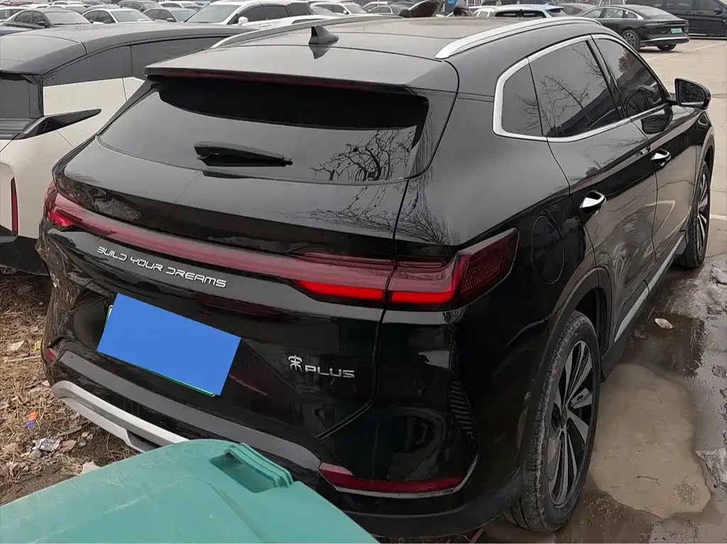 BYD PLUS New Energy 2023 из CN, фото 2