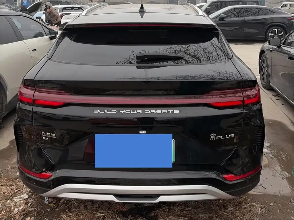 BYD PLUS New Energy 2023 из CN, фото 9