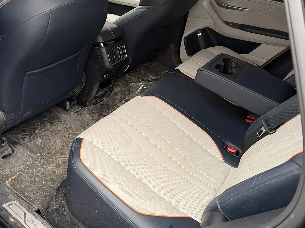 BYD PLUS New Energy 2023 из CN, фото 6