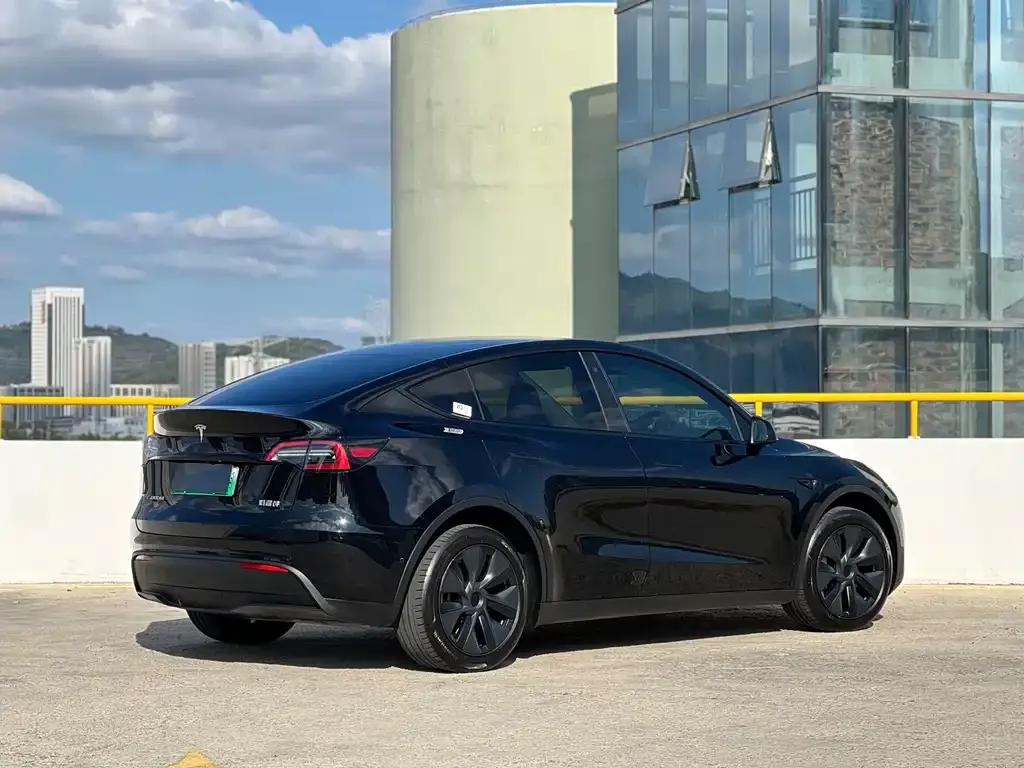 Tesla Model Y — фото 9