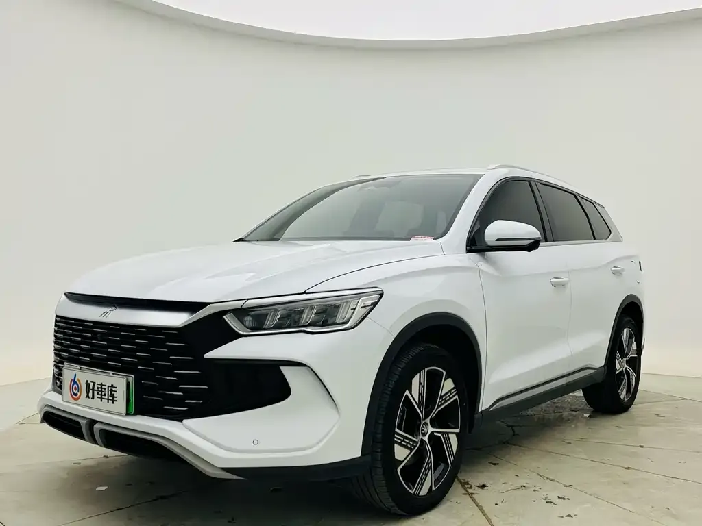 BYD Pro New Energy 2024 из CN, фото 1