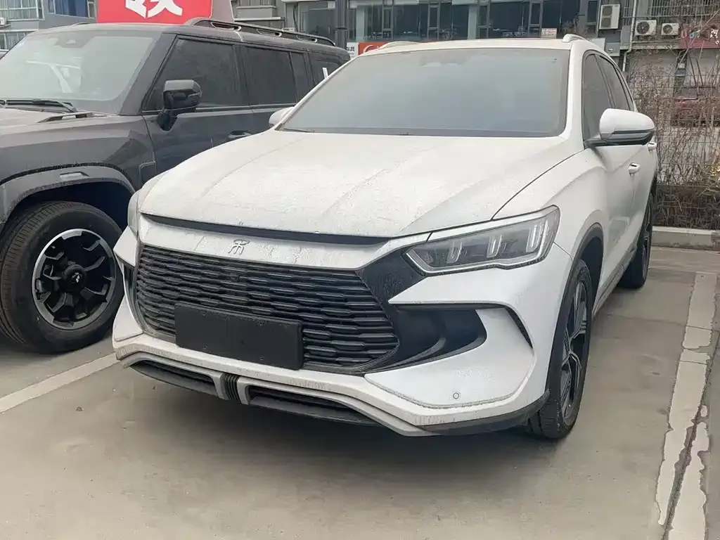 BYD Pro New Energy 2024 из CN, фото 10