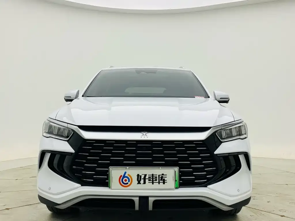 BYD Pro New Energy 2024 из CN, фото 5