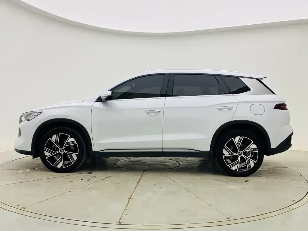 BYD Pro New Energy 2024 из CN, фото 4