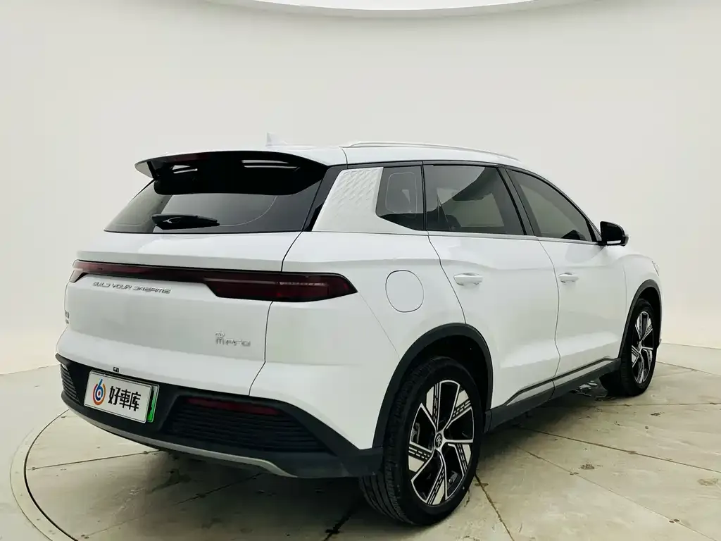 BYD Pro New Energy 2024 из CN, фото 2