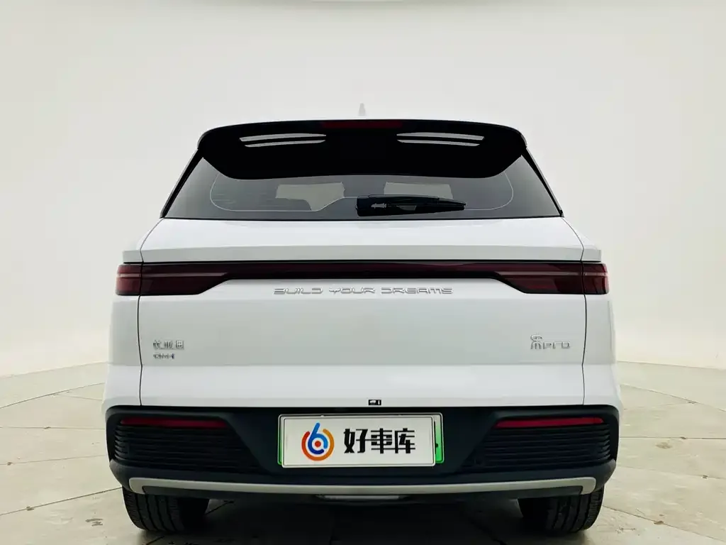 BYD Pro New Energy 2024 из CN, фото 3