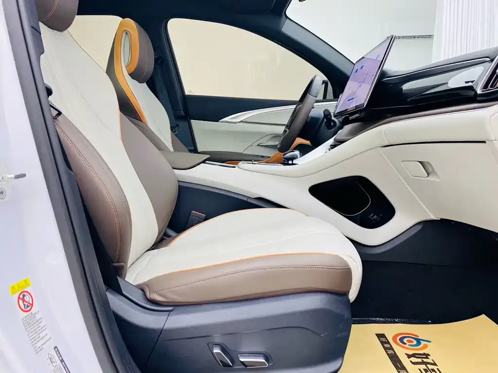 BYD Pro New Energy 2024 из CN, фото 9