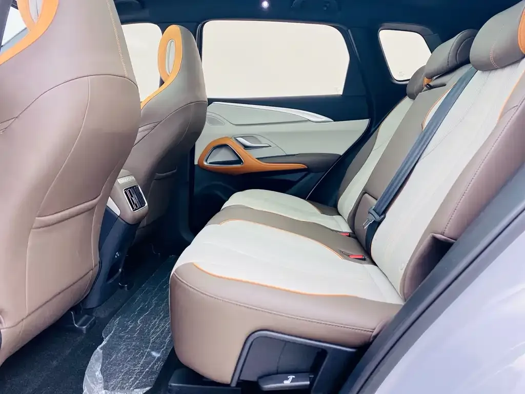 BYD Pro New Energy 2024 из CN, фото 6
