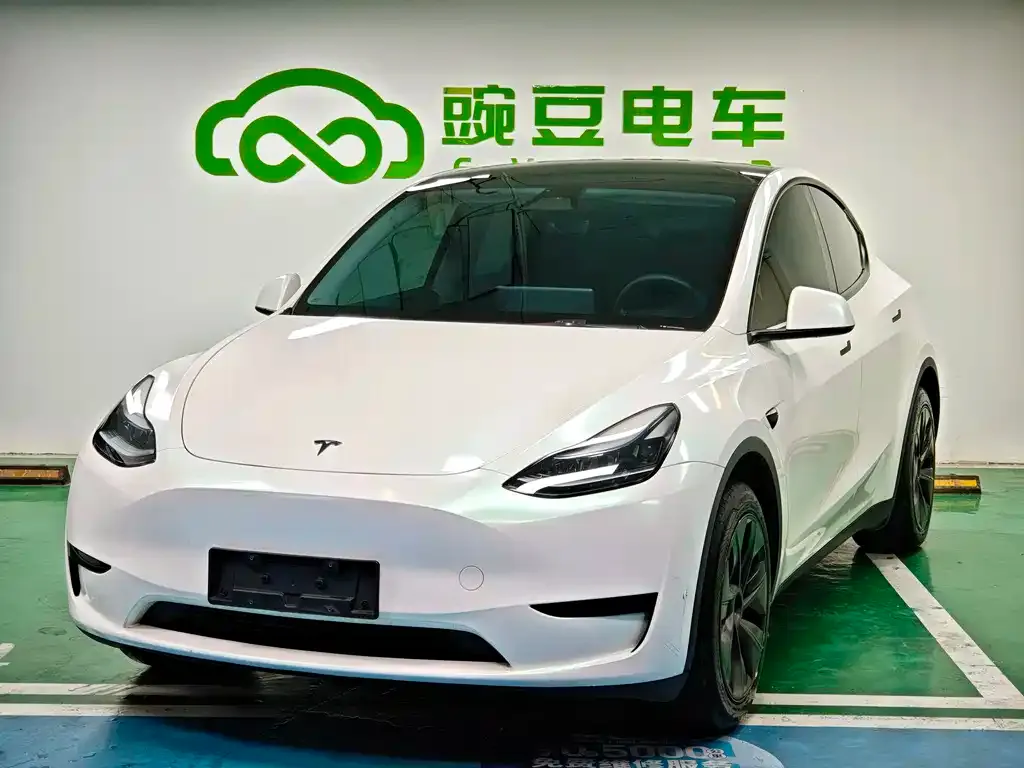 Tesla Model Y 2024 из CN, фото 1