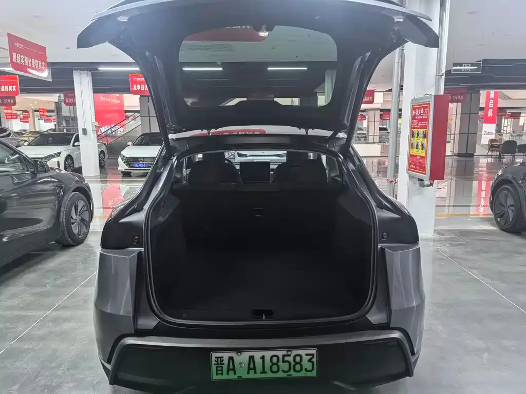Tesla Model Y — фото 5