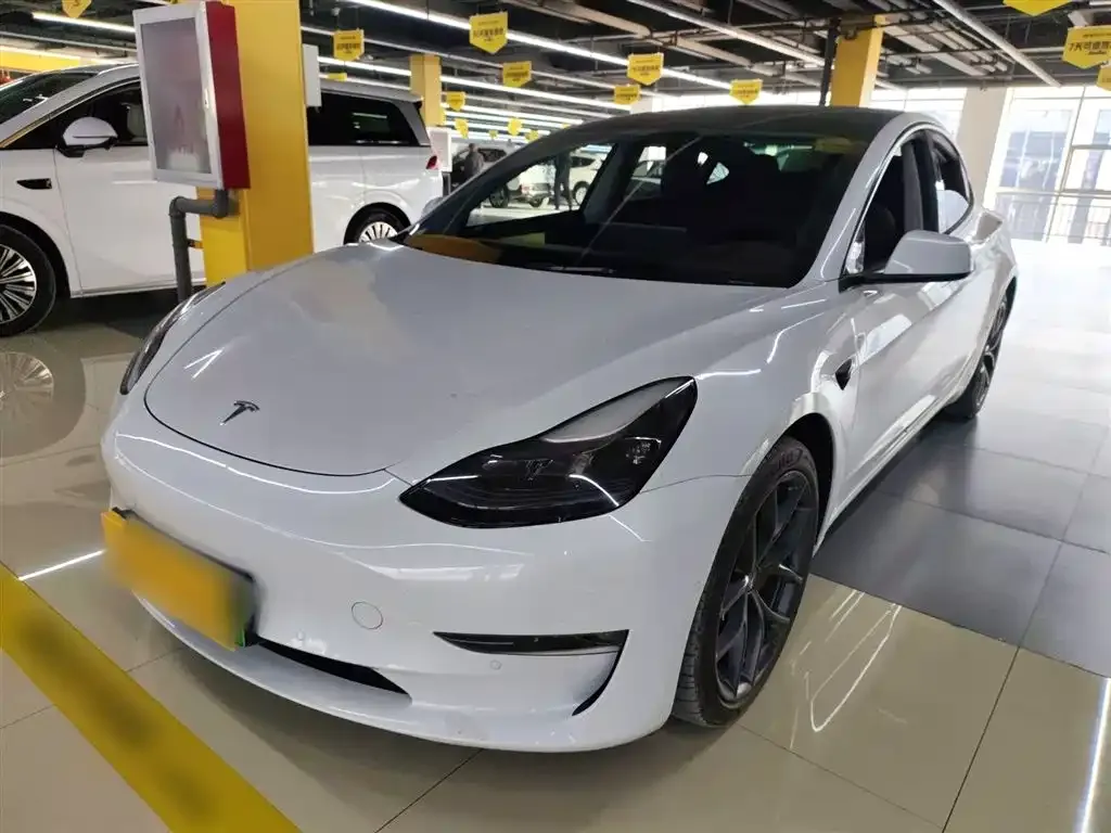 Tesla Model 3 2021 из CN, фото 1