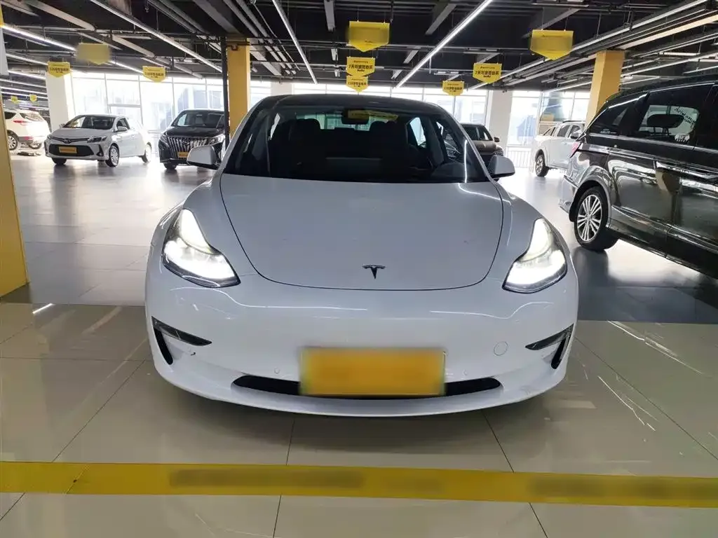 Tesla Model 3 2021 из CN, фото 5