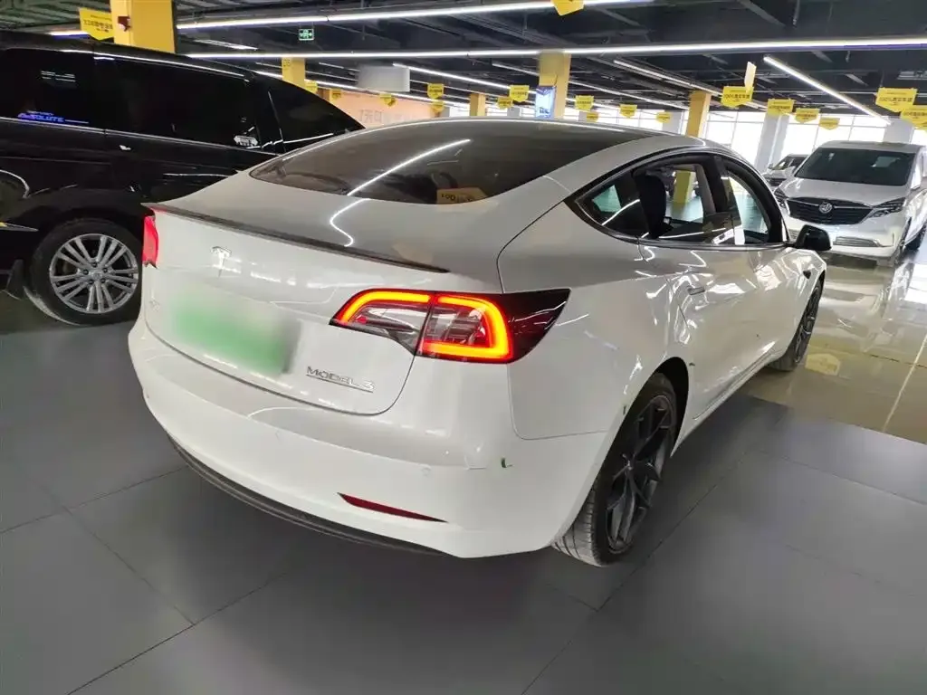 Tesla Model 3 2021 из CN, фото 9