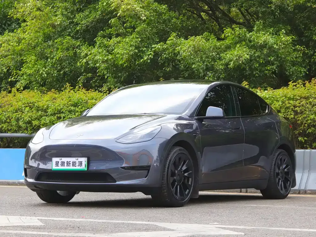 Tesla Model Y 2022 из CN, фото 1