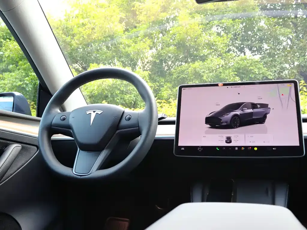 Tesla Model Y 2022 из CN, фото 3