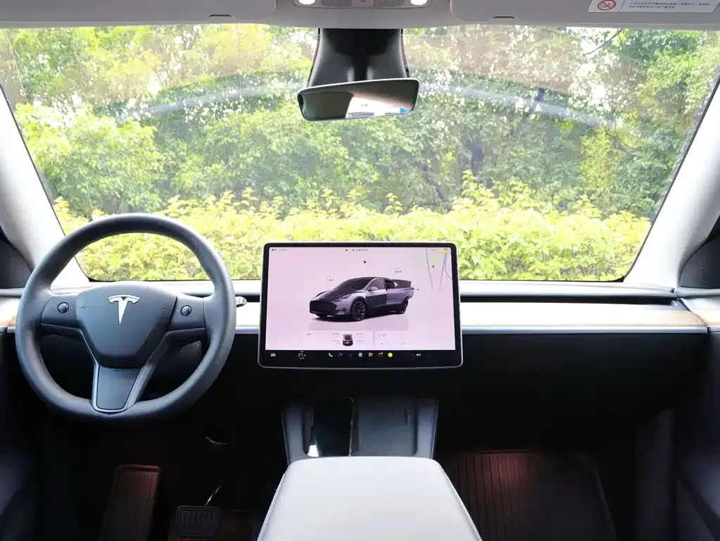 Tesla Model Y 2022 из CN, фото 7
