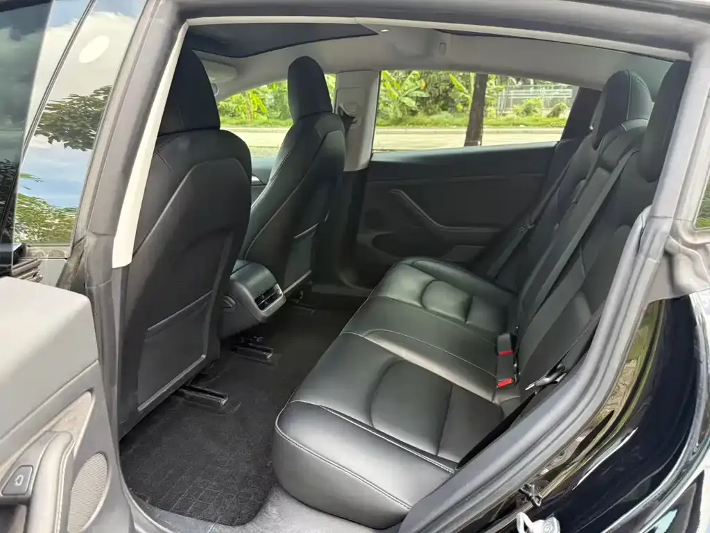 Tesla Model 3 2022 из CN, фото 2