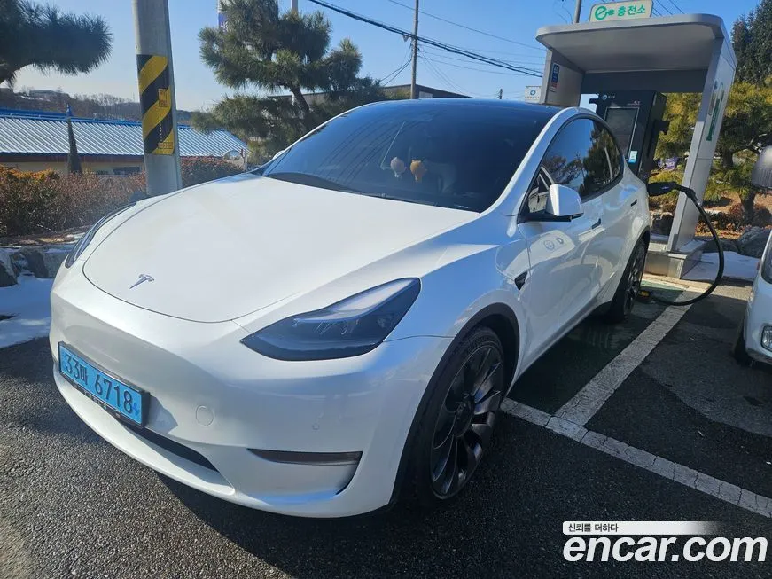 Tesla Model Y — фото 7