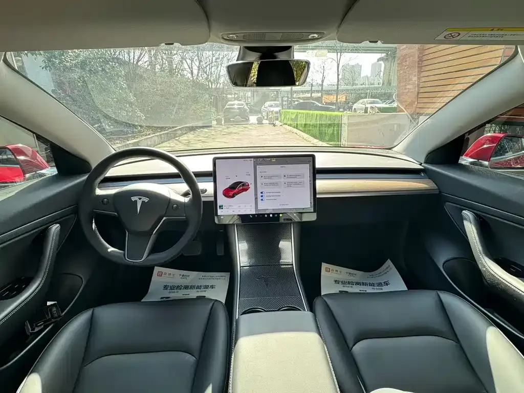 Tesla Model 3 2021 из CN, фото 7