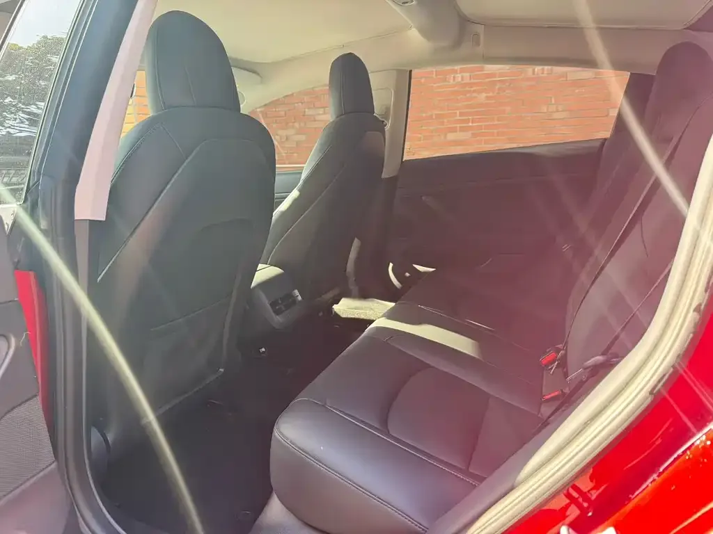 Tesla Model 3 2021 из CN, фото 4