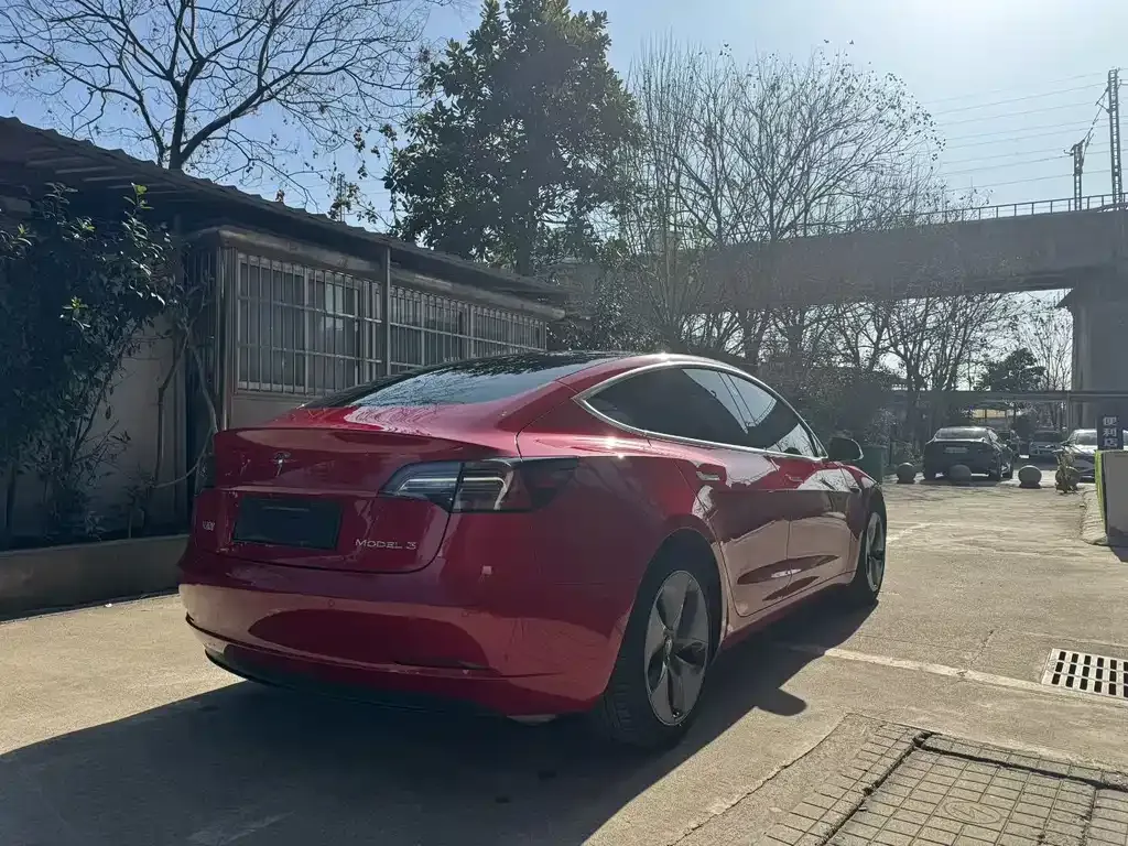 Tesla Model 3 2021 из CN, фото 6