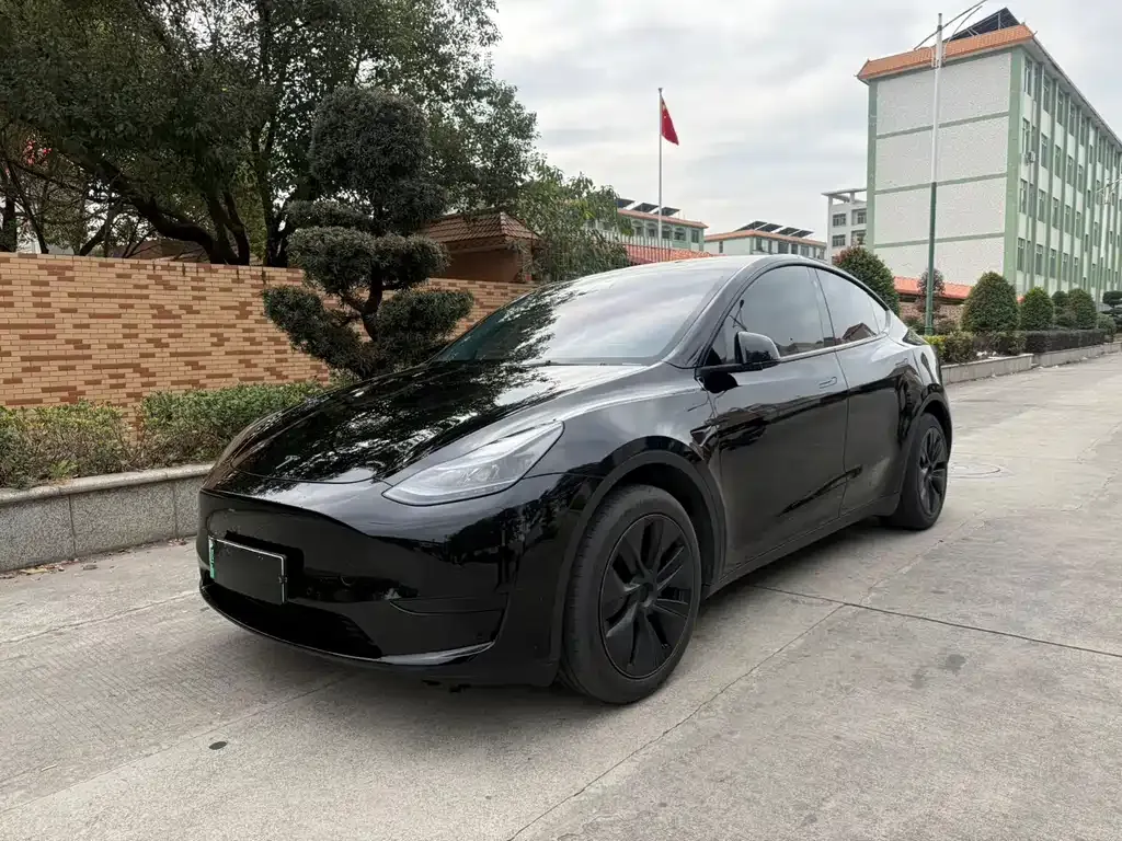 Tesla Model Y 2024 из CN, фото 1