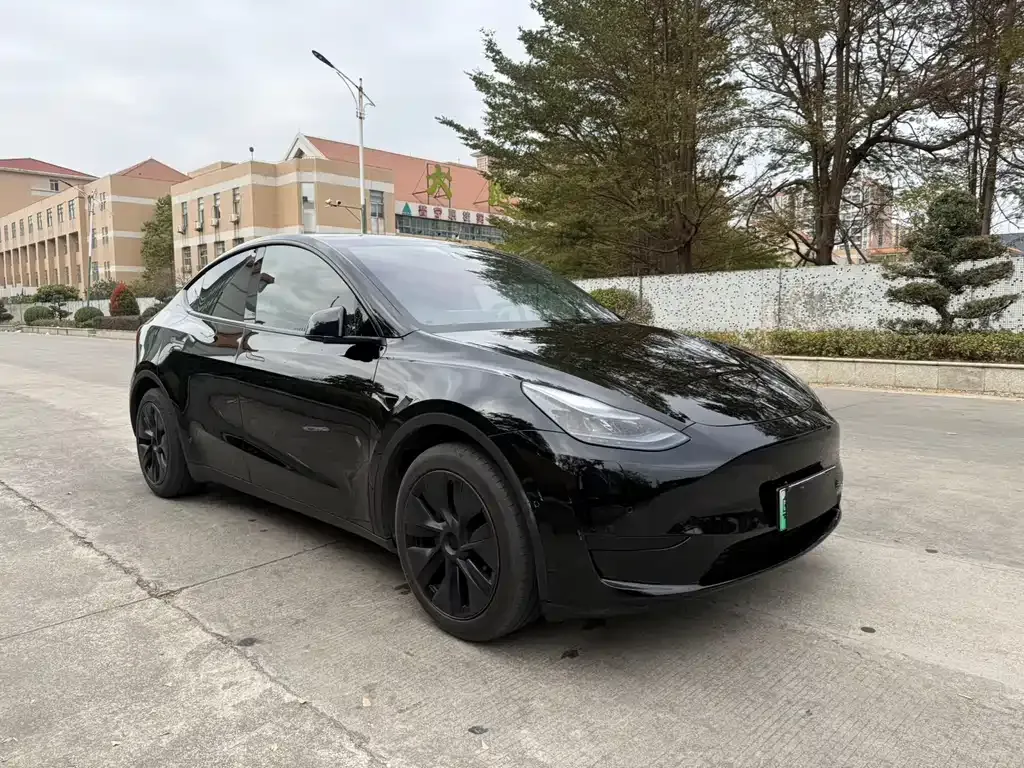 Tesla Model Y 2024 из CN, фото 6