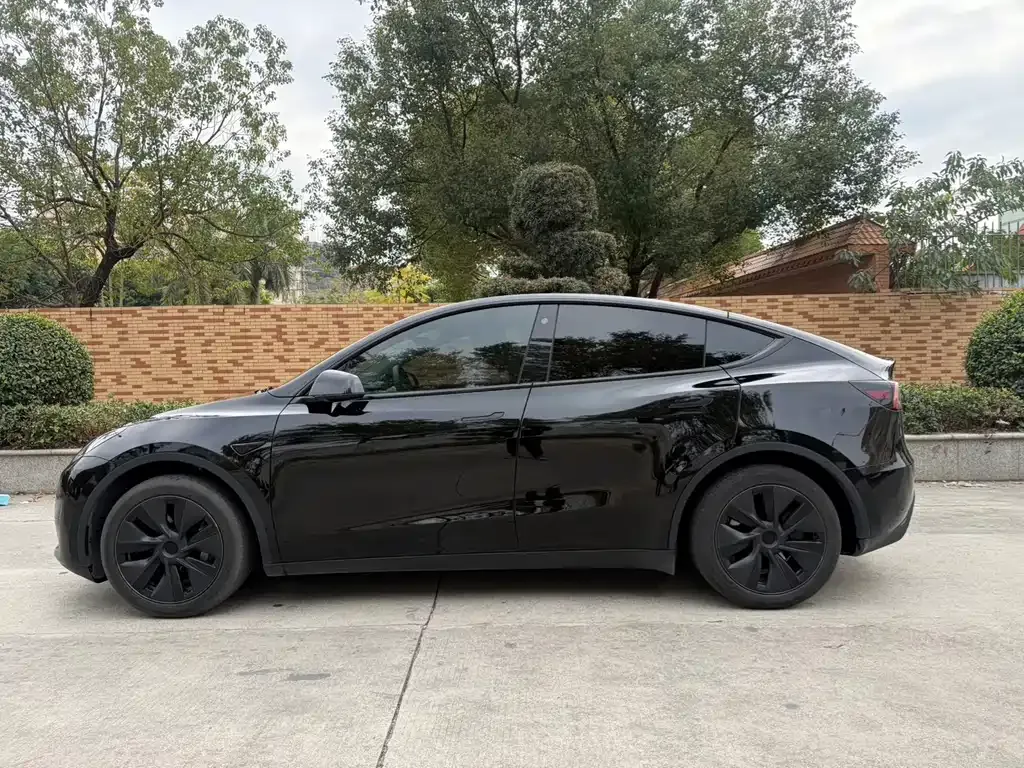 Tesla Model Y 2024 из CN, фото 5