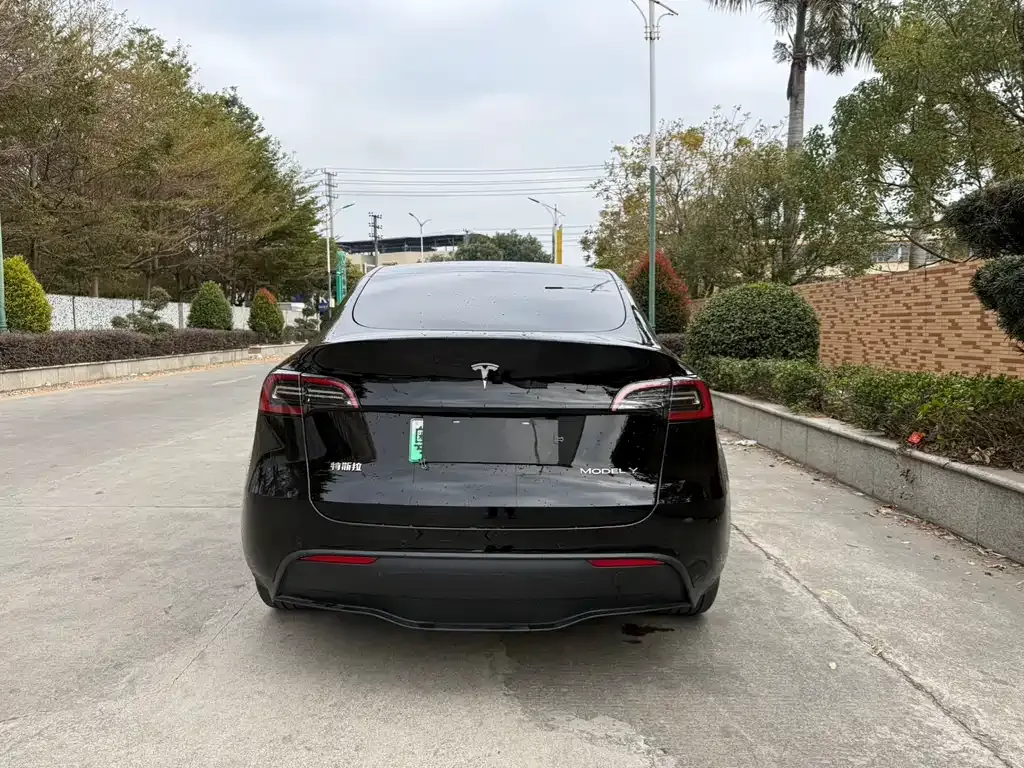 Tesla Model Y 2024 из CN, фото 4