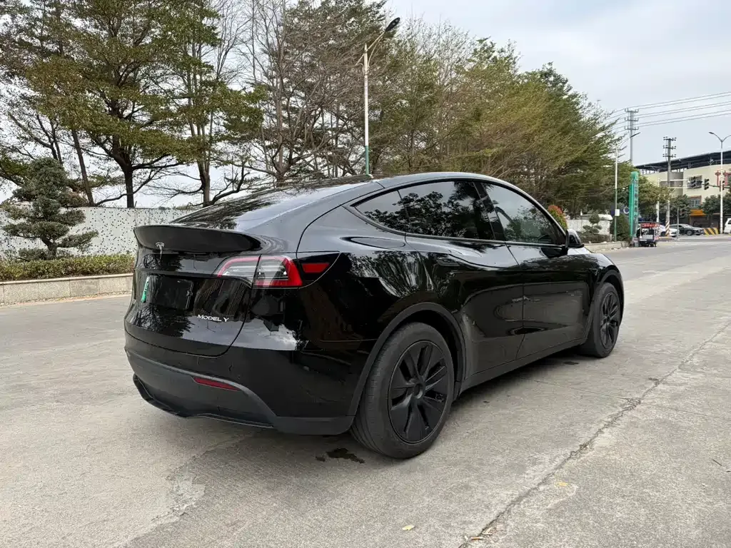 Tesla Model Y 2024 из CN, фото 10
