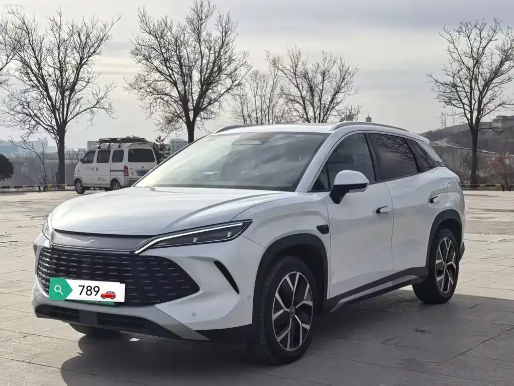 BYD L DM-i — фото 1