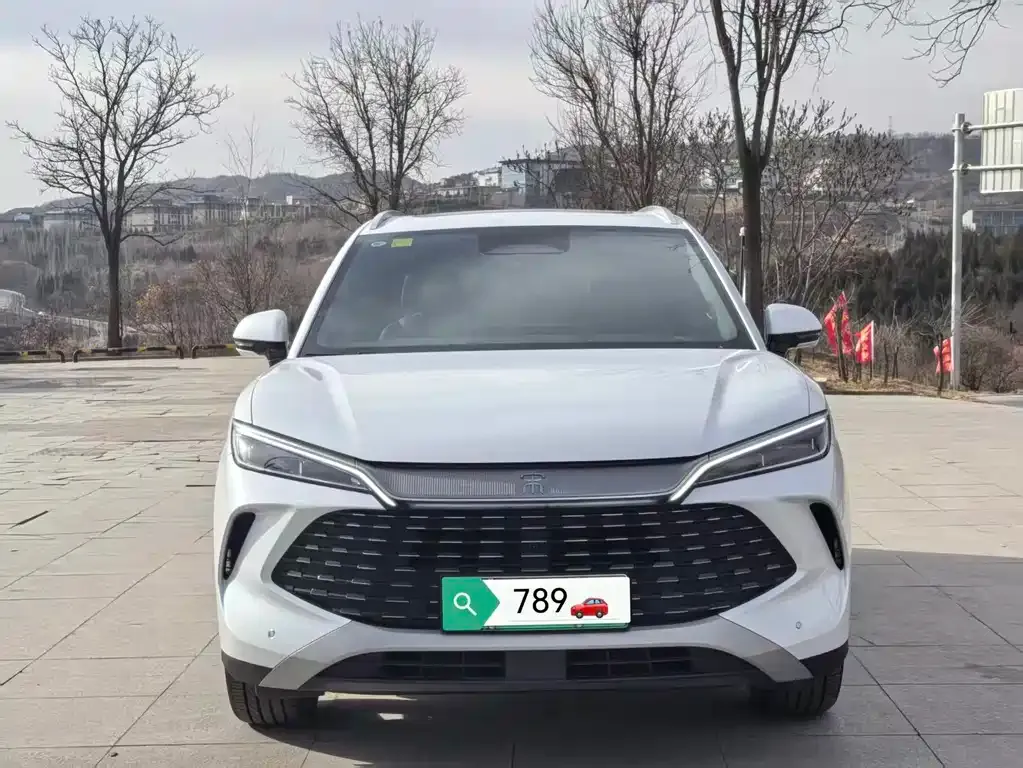 BYD L DM-i — фото 2