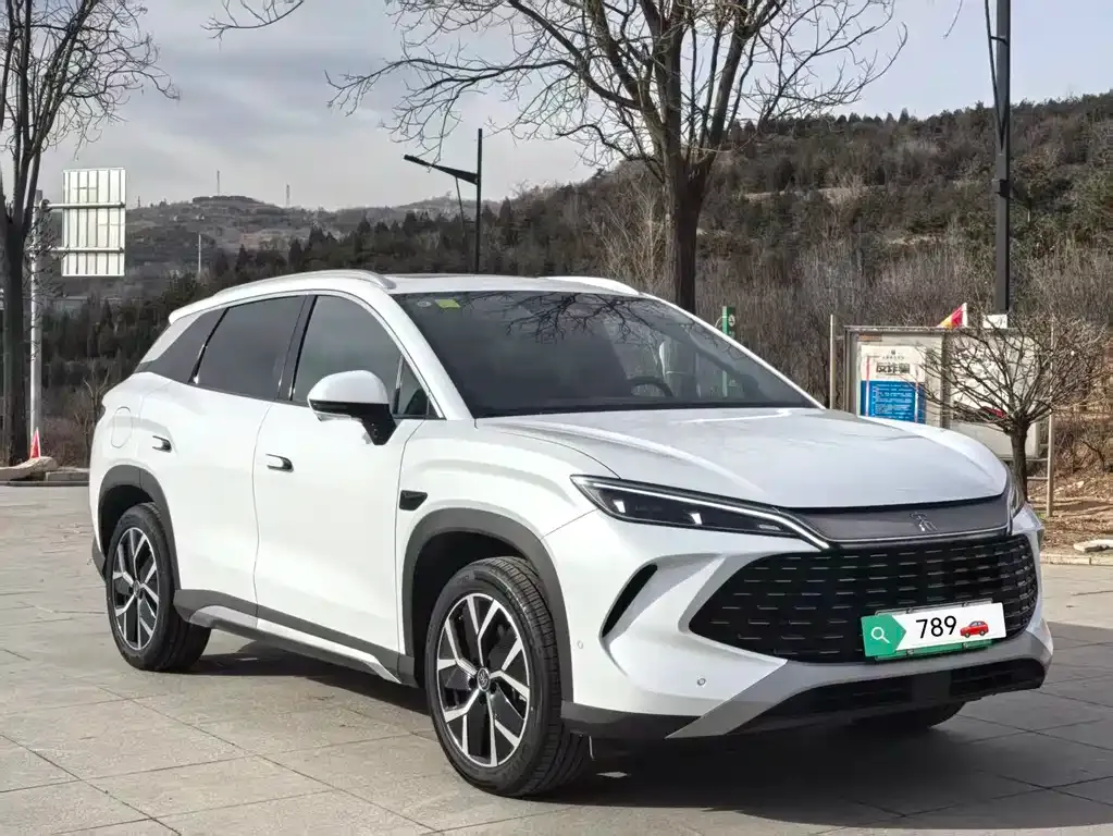 BYD L DM-i — фото 8