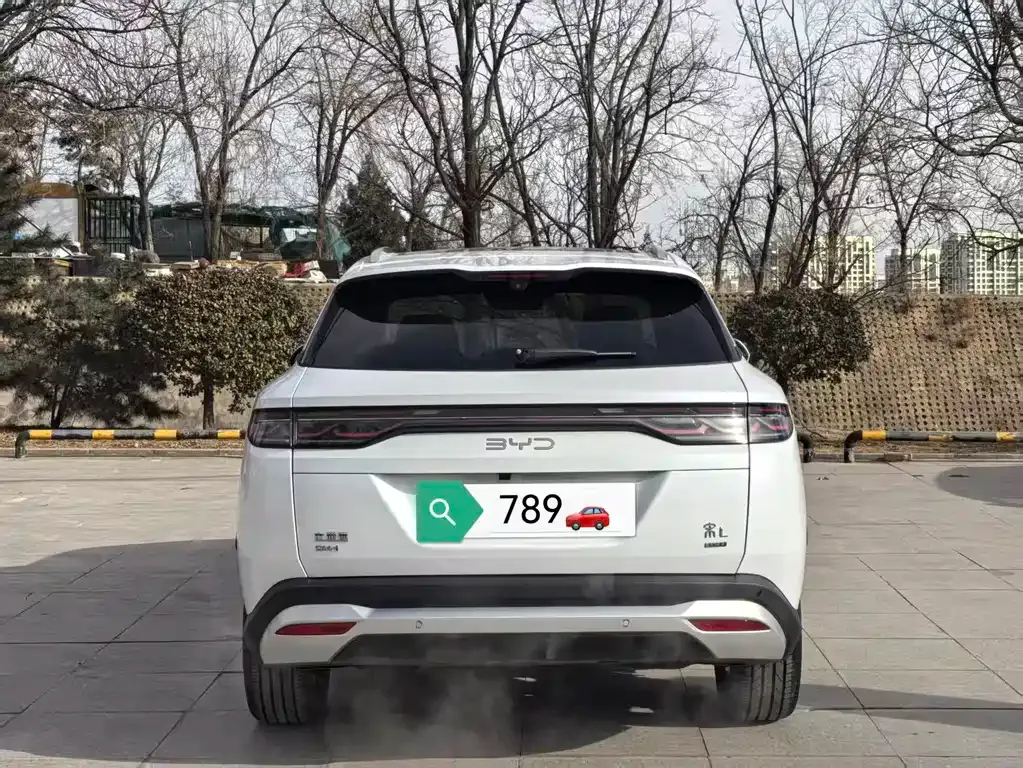 BYD L DM-i — фото 10