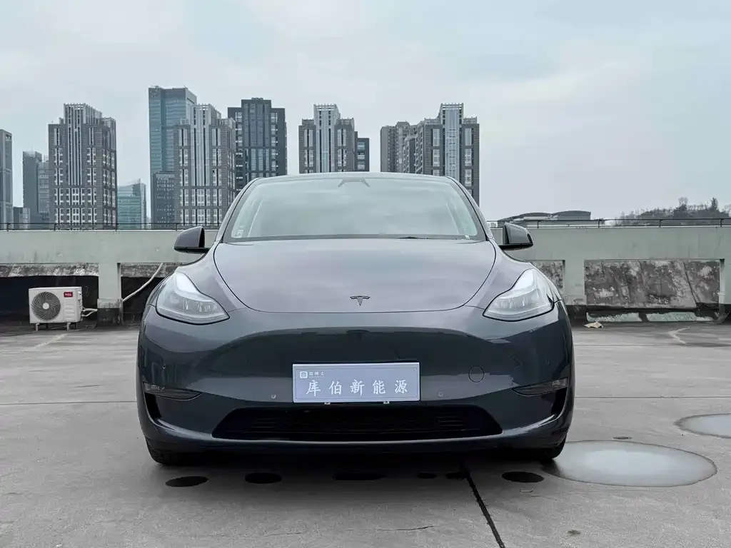 Tesla Model Y 2023 из CN, фото 5