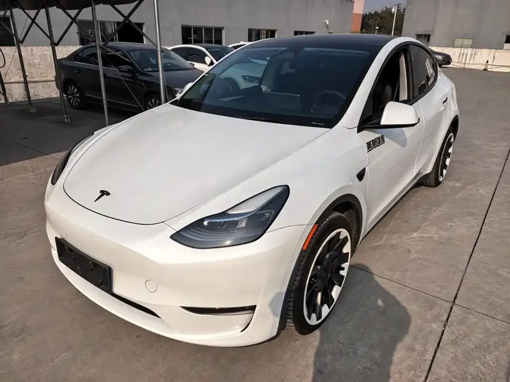 Tesla Model Y 2024 из CN, фото 1