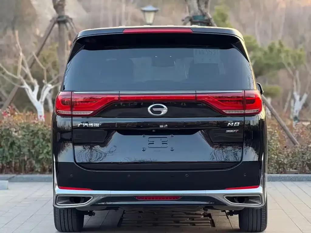 GAC Motor Trumpchi M8 2022 из CN, фото 10