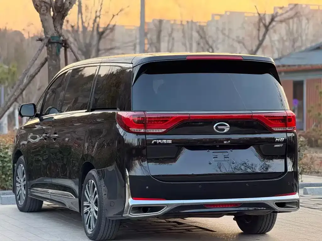 GAC Motor Trumpchi M8 2022 из CN, фото 9