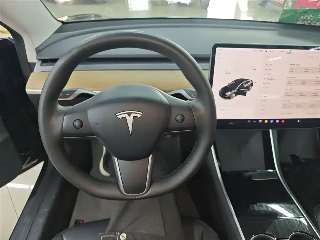 Tesla Model 3 2021 из CN, фото 7