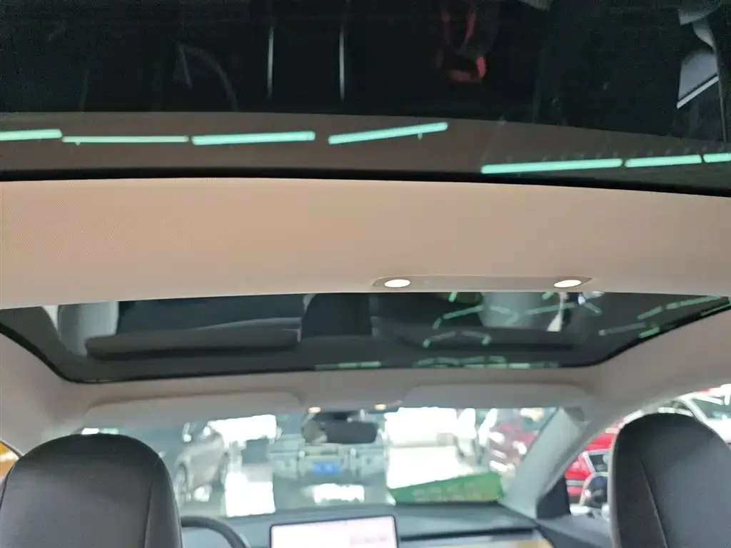 Tesla Model 3 2021 из CN, фото 6