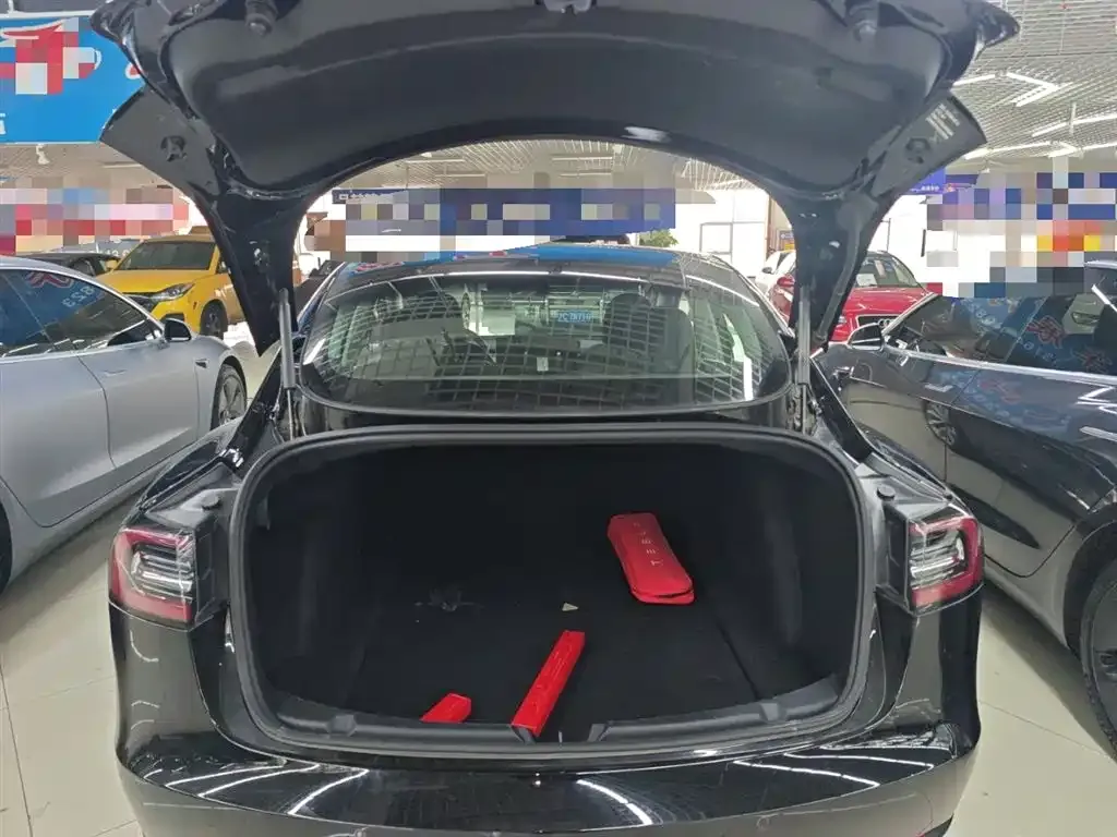 Tesla Model 3 2021 из CN, фото 9
